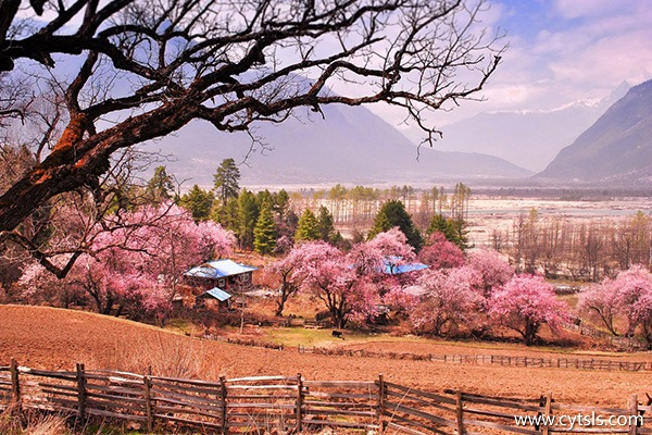 林芝旅游季節