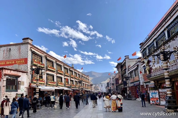 拉薩當地參團